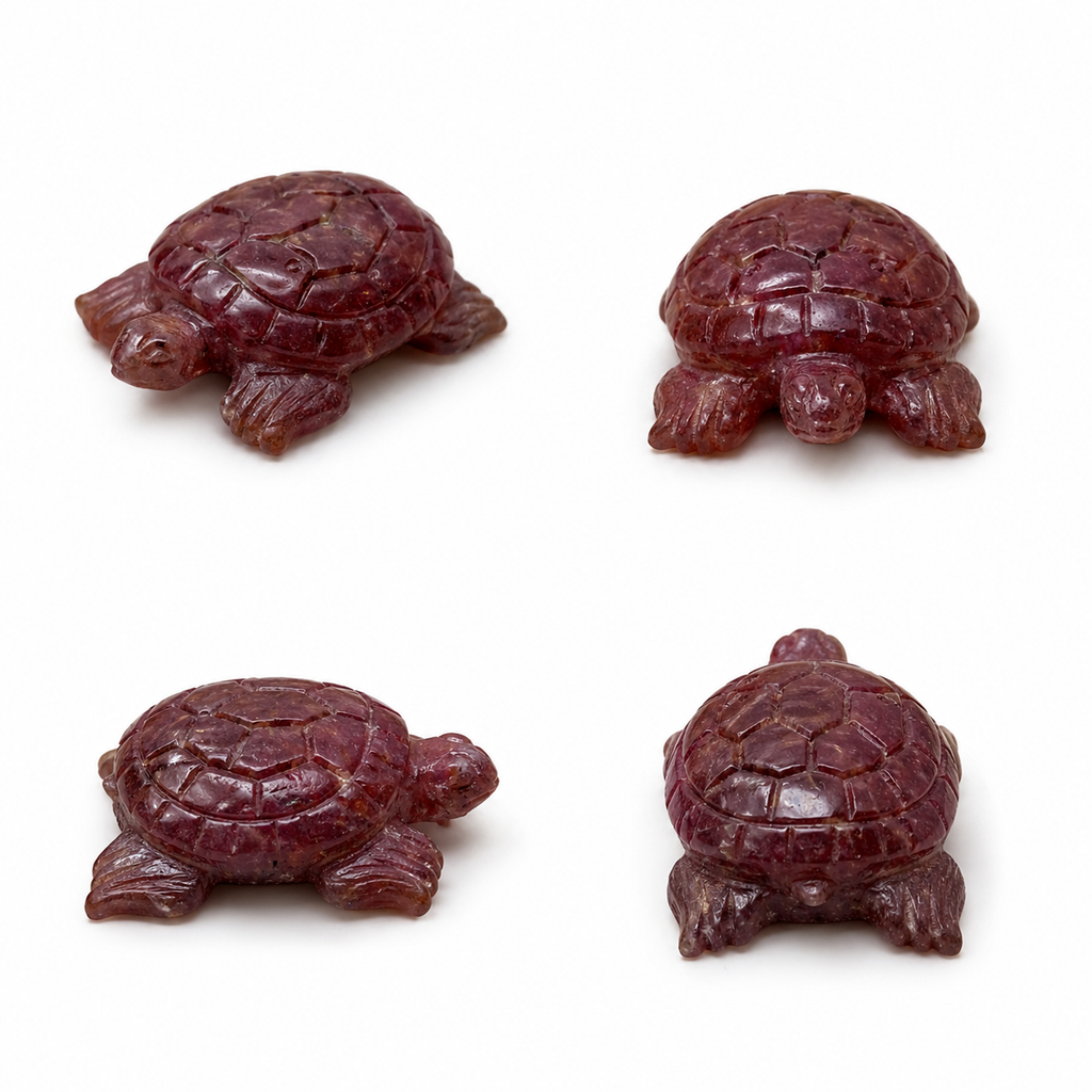 Glass Filled Turtle