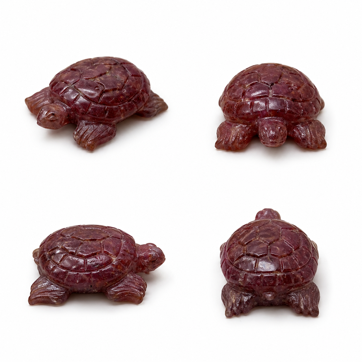 Glass Filled Turtle