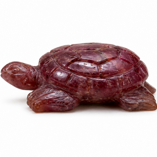 Glass Filled Turtle